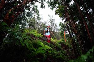 BIB: 
                            <button type="button" onclick="openModal(26203841)" class="btn btn-primary btn-sm float-right btn-popup" data-toggle="modal" data-target=".modal-high-quality">
                        <i class="fas fa-shopping-cart"></i> Add to Cart
                    </button>
                                            <button type="button" onclick="isThisMe(26203841, true)" class="btn btn-success btn-sm float-right btn-popup btn-isme hidden" data-toggle="tooltip" data-placement="bottom" title="นี่คือรูปของคุณใช่ไหม คลิกที่นี่เพื่อเอาเข้าอัลบั้ม">
                        <i class="fas fa-plus"></i> Add to album
                    </button>
                    <button type="button" onclick="isThisMe(26203841, false)" class="btn btn-warning btn-sm float-right btn-popup btn-isnotme hidden">
                        <i class="fas fa-ban"></i> Remove from album
                    </button>